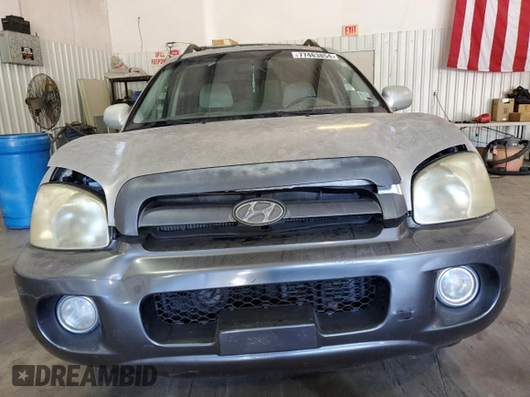 2006 Hyundai Santa Fe GLS with VIN KM8SC13D66U068594, listed as a Copart auction lot 77463854 with 132,081 mi miles and Salvage Title. Bid and sale history available at carsss.com. Image 5.
