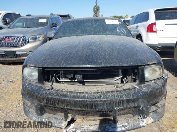 2006 Ford Mustang GT Deluxe with VIN 1ZVFT82H065257638, listed as a IAAI auction lot 40384311 with Not provided miles and . Bid and sale history available at DreamBid. Image 11.