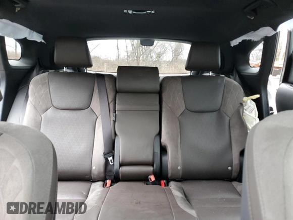 2024 Lexus RX with VIN JTJCJMGA9R2015210, listed as a Copart auction lot 49382125 with Not Provided miles and Salvage Title. Bid and sale history available at carsss.com. Image 10.