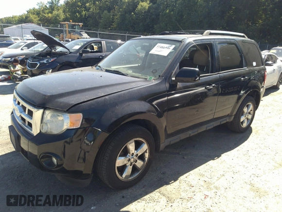 2010 Ford Escape Limited with VIN 1FMCU9EG5AKB06876, listed as a IAAI auction lot 40505932 with 143,259 mi miles and . Bid and sale history available at DreamBid. Image 2.
