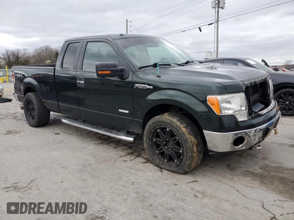 2014 Ford F-150 XL with VIN 1FTFX1ET9EFB82879, listed as a Copart auction lot 49855315 with 142,217 mi miles and Salvage title. Bid and sale history available at DreamBid. Image 4.