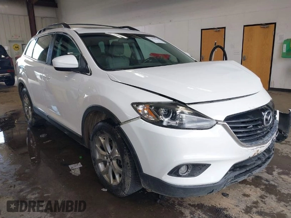 2015 Mazda CX-9 Touring with VIN JM3TB3CV0F0466205, listed as a IAAI auction lot 41871935 with 130,313 mi miles. Bid and sale history available at carsss.com. Image 1.