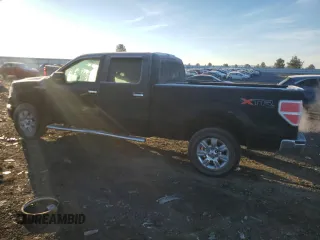2010 Ford F-150 XL with VIN 1FTFW1EV9AFD21293, listed as a Copart auction lot 77943404 with 123,165 mi miles and Salvage title. Bid and sale history available at DreamBid. Image 2.