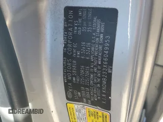 2006 Kia Sedona LX with VIN KNDMB233X66049953, listed as a Copart auction lot 76672044 with 126,837 mi miles and Salvage Title. Bid and sale history available at carsss.com. Image 13.