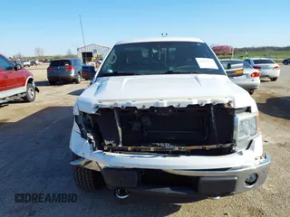 2012 Ford F-150 XL with VIN 1FTFX1ET2CFA74133, listed as a IAAI auction lot 42052273 with 223,019 mi miles and . Bid and sale history available at DreamBid. Image 13.