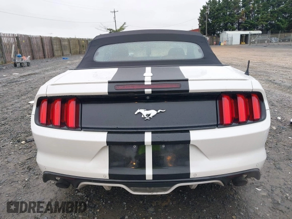 2017 Ford Mustang EcoBoost Premium with VIN 1FATP8UH7H5301411, listed as a IAAI auction lot 41971140 with 55,176 mi miles and . Bid and sale history available at carsss.com. Image 17.