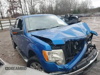 2011 Ford F-150 XL with VIN 1FTEX1CMXBFB29045, listed as a IAAI auction lot 41201456 with Not provided miles and . Bid and sale history available at DreamBid. Image 1.