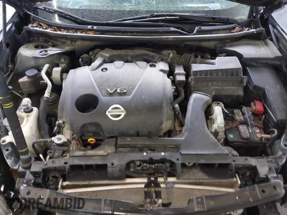 2010 Nissan Maxima SV with VIN 1N4AA5AP5AC809915, listed as a IAAI auction lot 41980433 with 181,490 mi miles and . Bid and sale history available at DreamBid. Image 10.