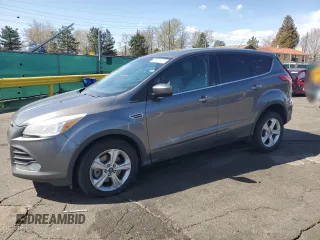 2013 Ford Escape SE with VIN 1FMCU0G92DUD93936, listed as a Copart auction lot 53913495 with 182,842 mi miles and Salvage Title. Bid and sale history available at DreamBid. Image 1.