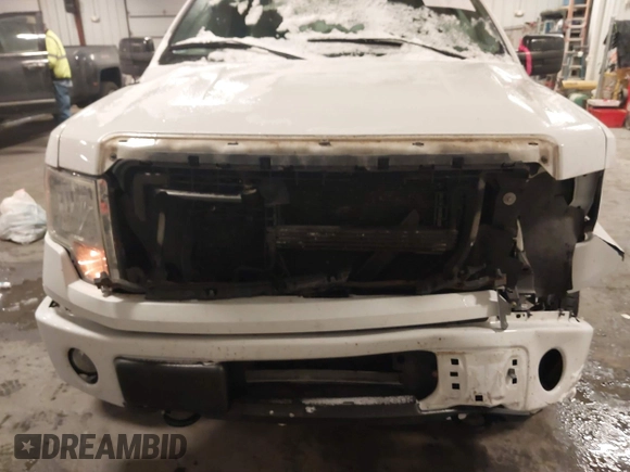 2014 Ford F-150 XL с VIN 1FTEX1EM4EKF52079, выставлен на аукционе IAAI как лот 41644634 с пробегом 152 047 миль миль и . История ставок и продаж доступна на DreamBid. Изображение 6.