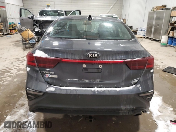 2019 Kia Forte LXS with VIN 3KPF24ADXKE136692, listed as a Copart auction lot 44589515 with 117,299 mi miles and Salvage Title. Bid and sale history available at DreamBid. Image 6.