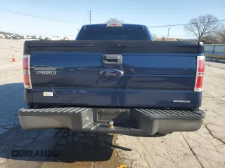 2013 Ford F-150 XL with VIN 1FTMF1CM9DKD34252, listed as a Copart auction lot 49175385 with 215,746 mi miles and Salvage Title. Bid and sale history available at carsss.com. Image 6.