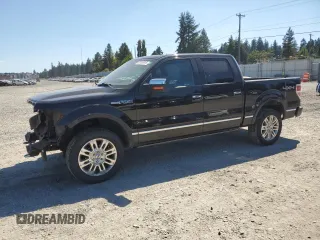 2009 Ford F-150 XL with VIN 1FTPW14V59FA44112, listed as a Copart auction lot 63436815 with 255,464 mi miles and Salvage title. Bid and sale history available at DreamBid. Image 1.