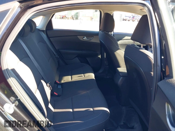 2019 Kia Forte LXS with VIN 3KPF24AD1KE047822, listed as a IAAI auction lot 41554454 with 106,853 mi miles and . Bid and sale history available at DreamBid. Image 8.