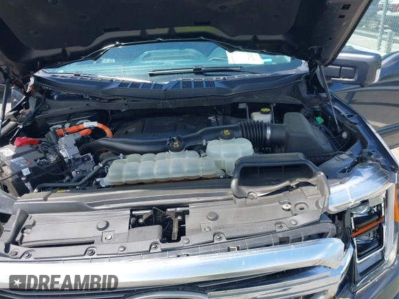 2021 Ford F-150 XL z VIN 1FTFW1ED5MFA85060, wystawiony jako IAAI lot #42240727 z przebiegiem 150 378 mil mil oraz . Historia ofert i sprzedaży dostępna na DreamBid. Obrazek 10.