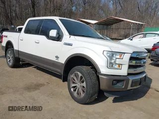 2015 Ford F-150 XLT with VIN 1FTEW1EG1FFA47818, listed as a IAAI auction lot 41716884 with 113,192 mi miles and . Bid and sale history available at DreamBid. Image 1.
