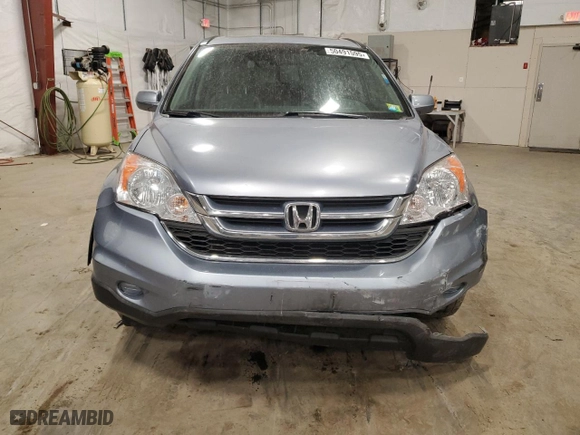 2010 Honda CR-V EX-L with VIN JHLRE4H73AC013054, listed as a Copart auction lot 50491595 with 123,121 mi miles and Salvage Title. Bid and sale history available at carsss.com. Image 5.
