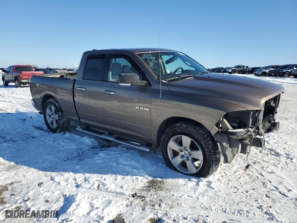 2010 Dodge Ram 1500 SLT with VIN 1D7RB1GP8AS127116, listed as a Copart auction lot 46062355 with 106,546 mi miles and Salvage Title. Bid and sale history available at carsss.com. Image 4.