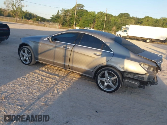 2013 Mercedes-Benz CLS-Class CLS 550 with VIN WDDLJ7DB7DA072530, listed as a IAAI auction lot 42065879 with 123,254 mi miles. Bid and sale history available at carsss.com. Image 3.