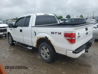 2009 Ford F-150 STX with VIN 1FTRX12W09FA04019, listed as a Copart auction lot 58752715 with 222,820 mi miles and Clean title. Bid and sale history available at DreamBid. Image 2.