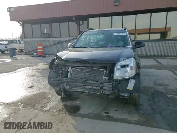 2009 Chevrolet Equinox LS with VIN 2CNDL13F196247820, listed as a Copart auction lot 43920755 with 127,125 mi miles and Clean Title. Bid and sale history available at carsss.com. Image 11.