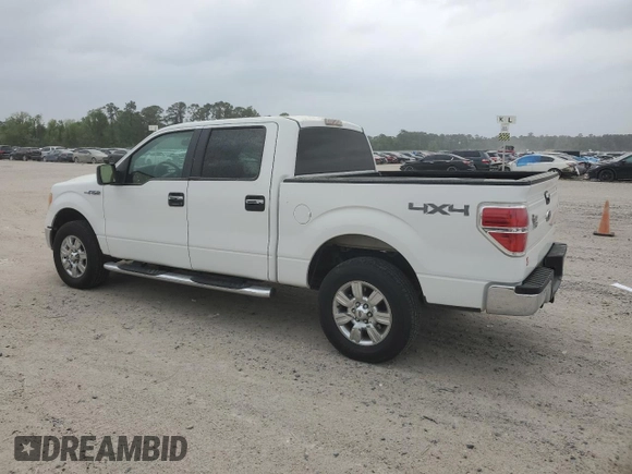 2009 Ford F-150 XL with VIN 1FTRW14849FA84538, listed as a Copart auction lot 51106215 with 165,411 mi miles and Clean title. Bid and sale history available at DreamBid. Image 2.