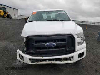 2016 Ford F-150 XLT with VIN 1FTEX1EP0GKE17873, listed as a Copart auction lot 57245885 with 133,856 mi miles and Salvage title. Bid and sale history available at DreamBid. Image 5.