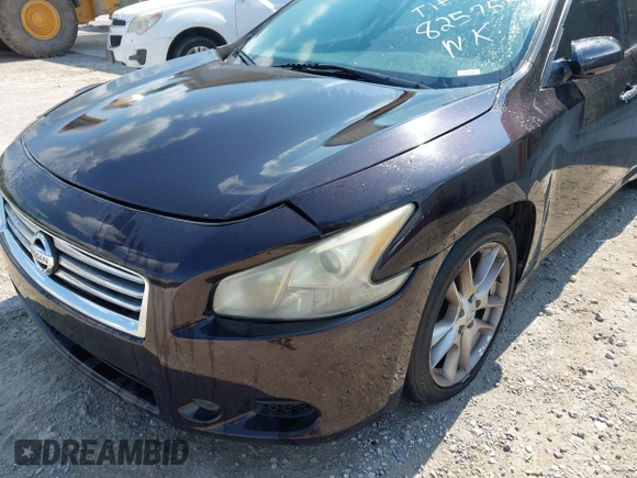 2013 Nissan Maxima SV with VIN 1N4AA5AP4DC825754, listed as a IAAI auction lot 42646672 with 145,480 mi miles and . Bid and sale history available at DreamBid. Image 6.
