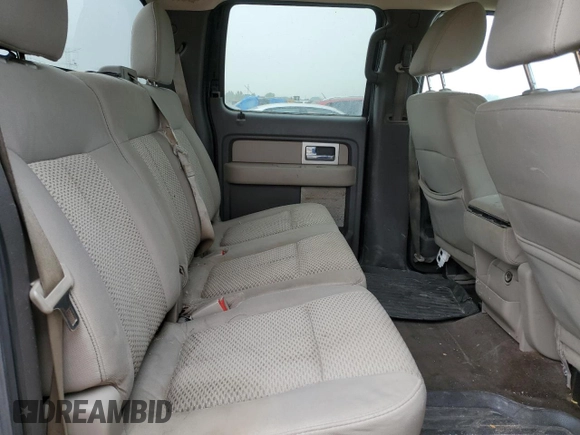 2010 Ford F-150 XL with VIN 1FTEW1E84AFD14774, listed as a Copart auction lot 60530435 with 150,299 mi miles and Salvage title. Bid and sale history available at DreamBid. Image 10.
