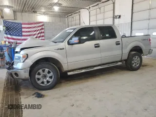 2014 Ford F-150 XL with VIN 1FTFW1EF7EKG45221, listed as a Copart auction lot 48869625 with 185,746 mi miles and Salvage Title. Bid and sale history available at carsss.com. Image 1.
