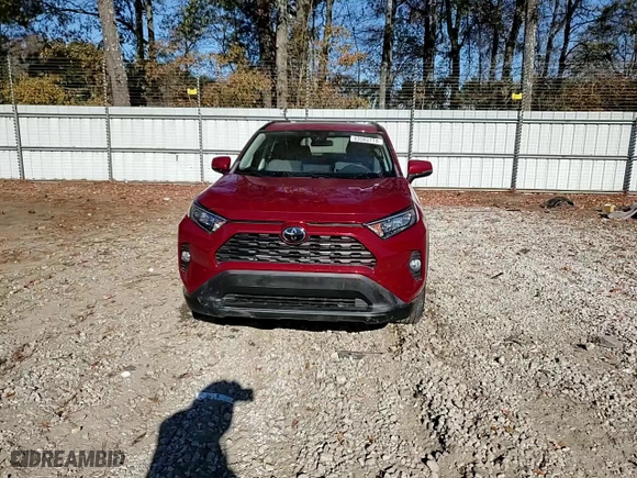 2019 Toyota RAV4 XLE with VIN 2T3W1RFV5KC025023, listed as a Copart auction lot 83583774 with NaN miles and Salvage Title. Bid and sale history available at carsss.com. Image 14.
