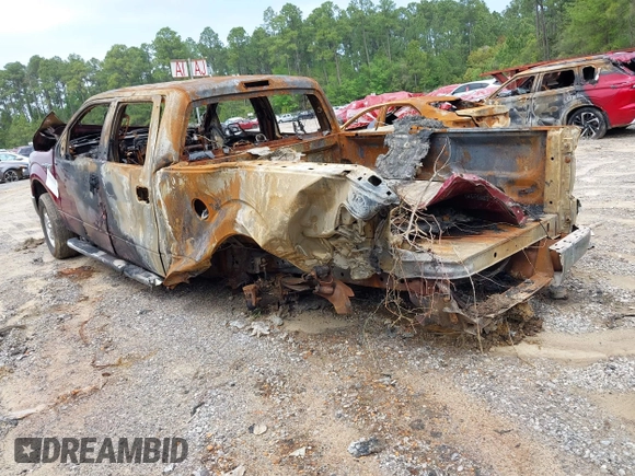 2013 Ford F-150 XL with VIN 1FTFW1EF8DFD13053, listed as a IAAI auction lot 41925557 with Not provided miles and . Bid and sale history available at DreamBid. Image 3.