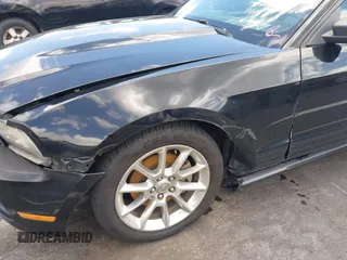 2011 Ford Mustang V6 with VIN 1ZVBP8AM5B5149026, listed as a IAAI auction lot 42551126 with 230,429 mi miles and . Bid and sale history available at DreamBid. Image 6.