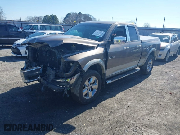 2010 Dodge 1500 SLT with VIN 1D7RB1GT7AS117173, listed as a IAAI auction lot 41439759 with 255,719 mi miles and . Bid and sale history available at carsss.com. Image 19.