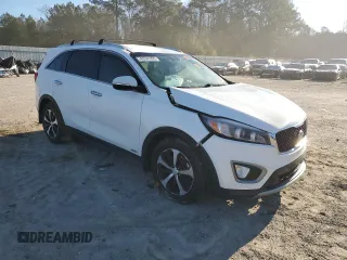 2016 Kia Sorento EX with VIN 5XYPHDA16GG137051, listed as a Copart auction lot 45541995 with 0 mi miles and Salvage Title. Bid and sale history available at carsss.com. Image 4.