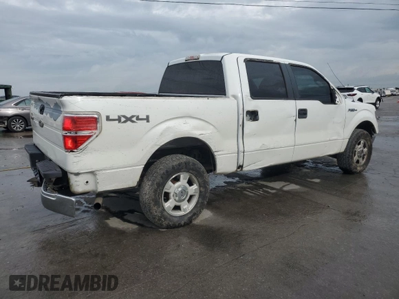 2009 Ford F-150 XL z VIN 1FTPW14V59KC72750, wystawiony jako Copart lot #54487105 z przebiegiem 242 321 mil mil oraz Szkoda całkowita • Salvage title. Historia ofert i sprzedaży dostępna na DreamBid. Obrazek 3.