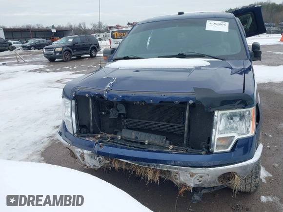 2011 Ford F-150 XL with VIN 1FTFX1ET6BFC39423, listed as a IAAI auction lot 41300035 with 1 mi miles. Bid and sale history available at carsss.com. Image 11.