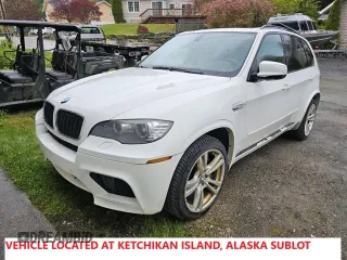 2010 BMW X5 M z VIN 5YMGY0C59ALK25734, wystawiony jako Copart lot #56727665 z przebiegiem 128 124 mil mil oraz Szkoda całkowita • Salvage title. Historia ofert i sprzedaży dostępna na DreamBid. Obrazek 1.