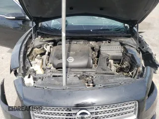2009 Nissan Maxima SV with VIN 1N4AA51E99C807465, listed as a Copart auction lot 49768325 with Not Provided miles and Salvage Title. Bid and sale history available at DreamBid. Image 11.