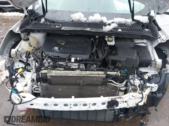2018 Ford Escape SEL with VIN 1FMCU9HD9JUA69594, listed as a IAAI auction lot 41571208 with 124,193 mi miles. Bid and sale history available at carsss.com. Image 10.