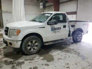 2013 Ford F-150 XL with VIN 1FTMF1EM8DFD09686, listed as a Copart auction lot 87580895 with 352,762 mi miles and Salvage Title. Bid and sale history available at carsss.com. Image 1.
