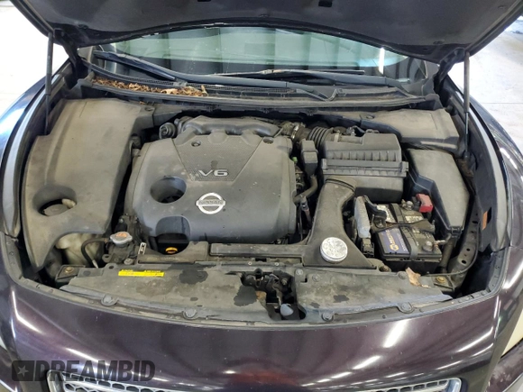 2010 Nissan Maxima SV with VIN 1N4AA5AP7AC846576, listed as a Copart auction lot 56277125 with 219,851 mi miles and Clean title. Bid and sale history available at DreamBid. Image 11.