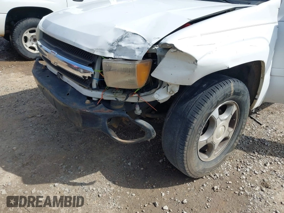 2007 Chevrolet TrailBlazer LS with VIN 1GNDS13S072230724, listed as a IAAI auction lot 41950614 with 195,449 mi miles and . Bid and sale history available at DreamBid. Image 6.