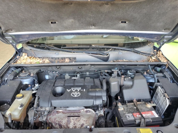 2010 Toyota RAV4 Limited с VIN 2T3DF4DV2AW080184, выставлен на аукционе Copart как лот 62313415 с пробегом 238 228 миль миль и Чистый • Clean title. История ставок и продаж доступна на DreamBid. Изображение 12.