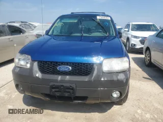 2007 Ford Escape XLT with VIN 1FMYU03117KC07213, listed as a Copart auction lot 75800064 with 0 mi miles and Non Repairable. Bid and sale history available at carsss.com. Image 5.