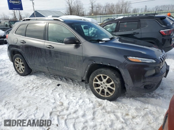 2014 Jeep Cherokee Latitude with VIN 1C4PJMCS8EW138857, listed as a Copart auction lot 46056245 with 312,510 mi miles and Clean Title. Bid and sale history available at carsss.com. Image 4.