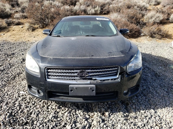 2009 Nissan Maxima 3.5 SV w/Sport Pkg with VIN 1N4AA51E69C828158, listed as a Copart auction lot 42559115 with 0 mi miles and Salvage Title. Bid and sale history available at carsss.com. Image 5.