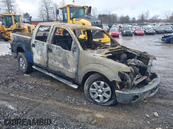 2013 Ford F-150 XL with VIN 1FTFW1ET9DFC41088, listed as a IAAI auction lot 41509740 with 159,494 mi miles. Bid and sale history available at carsss.com. Image 1.