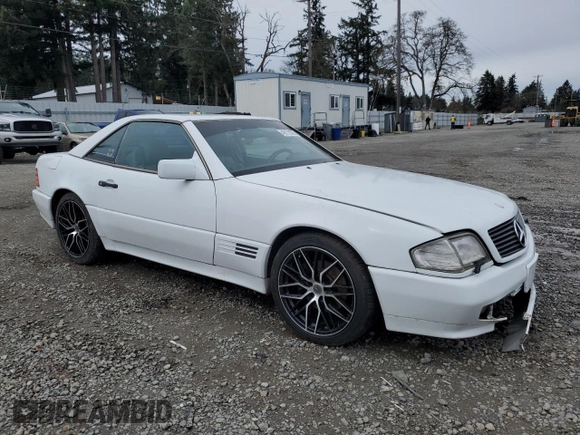 1991 Mercedes-Benz 300 with VIN WDBFA61E3MF015341, listed as a Copart auction lot 49173335 with 160,319 mi miles and Clean Title. Bid and sale history available at DreamBid. Image 4.