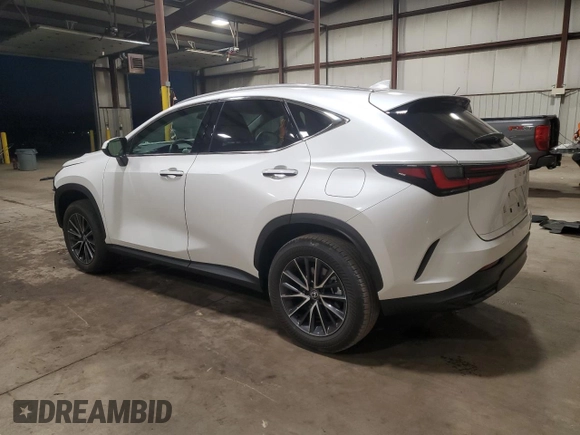 2024 Lexus NX with VIN 2T2AGCEZXRC034292, listed as a Copart auction lot 81203804 with 15,567 mi miles and Salvage Title. Bid and sale history available at carsss.com. Image 2.